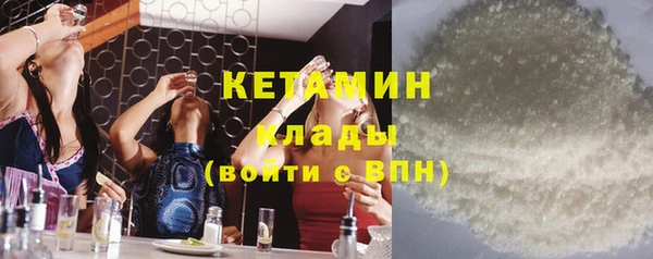 шишки Заволжье