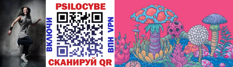 Псилоцибиновые грибы Psilocybine cubensis хочу наркоту Пласт